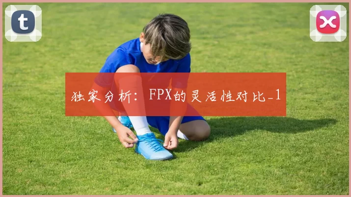 独家分析：FPX的灵活性对比_1