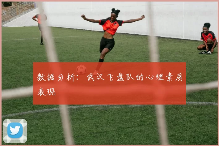 数据分析：武汉飞盘队的心理素质表现