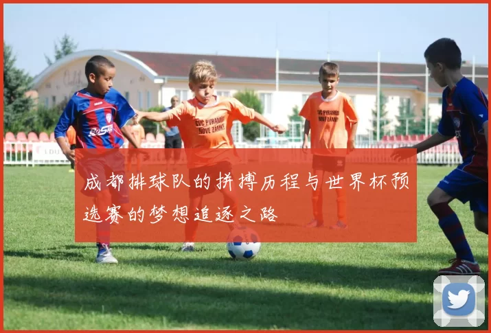 成都排球队的拼搏历程与世界杯预选赛的梦想追逐之路