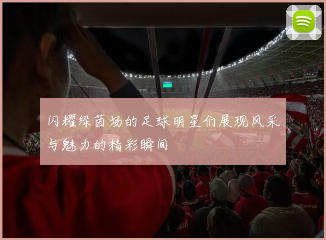 闪耀绿茵场的足球明星们展现风采与魅力的精彩瞬间