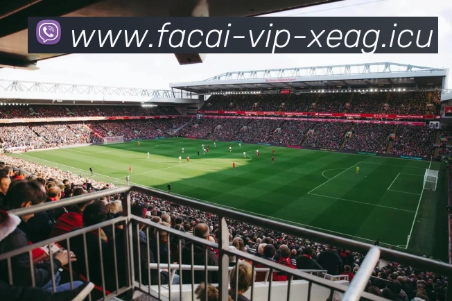 华体会体育注册发展历程